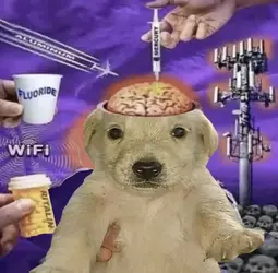 1751665847571.webp