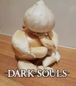 dark souls onion bro.webp