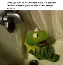 kermitmeme.webp