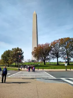 IMG_20201114_105211230_HDR.webp