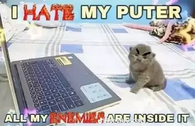 8e1c08783ccbce45d570d0039c5c8f49.webp
