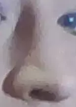 1751693807214.webp