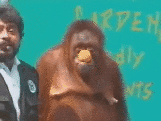 1751057636718882.gif