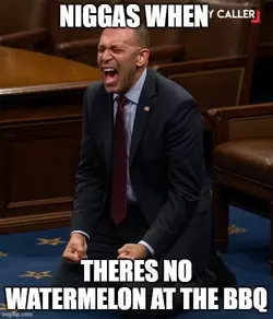 niggas1.webp
