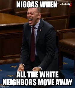 niggas3.webp