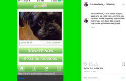 Screen Shot 2019-05-15 at 11.22.51.png