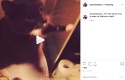 Screen Shot 2019-05-15 at 11.44.43.png