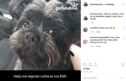 Screen Shot 2019-05-15 at 13.08.51.png