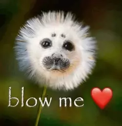 GvBQEkpXgAEgZH6.webp