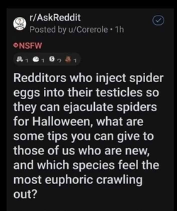 515512640_10233199737632885_8296246569236346992_n.webp