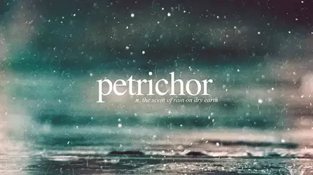 p_0.webp