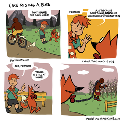 bike.webp