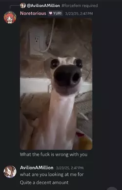 GvGdc1KWAAAxg4W.webp