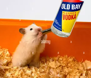 late and bay.webp