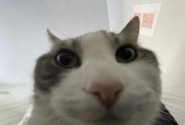 1751842911790.webp