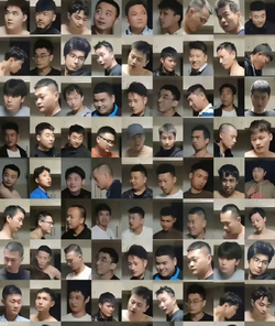 1751896415718.webp
