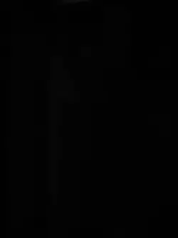 1.webp