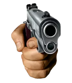 gun.webp