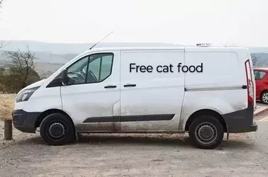 7602654-1f85e4c55588d6c09c1e264bc00859b0 (1).webp