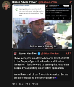 Hamilton is a cunt.webp
