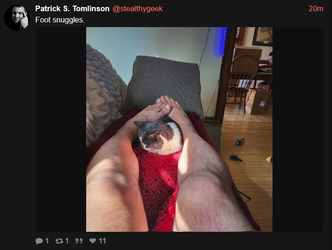 gGAlXFf.webp