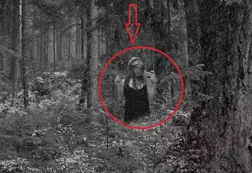 sasquatch.webp