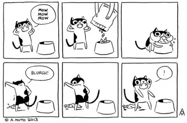 cats1.webp