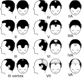 1752034297524.webp