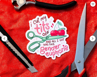 Screenshot 2025-07-09 at 00-32-41 T ts off Top Surgery Sticker - Etsy.webp