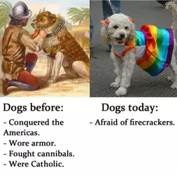 colonialist_dogs.webp