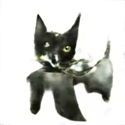 my cat.webp