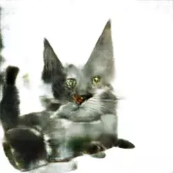 my cat(1).webp