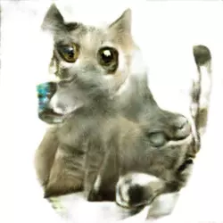 my cat(3).webp