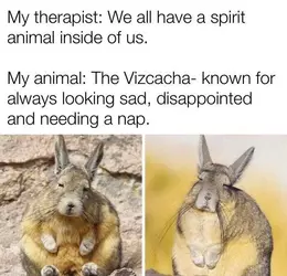 vizcacha.webp