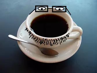 soy-cafe.webp