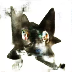 my cat(8).webp