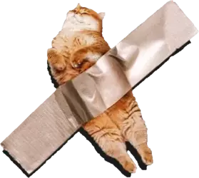 cat-duct-tape (1).webp