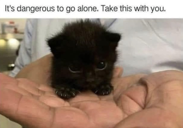 it's dangerous to go alone take this with you.webp
