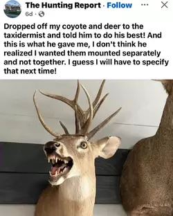 GvJmfFZWUAAcghC.webp