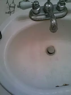 IMG021.webp