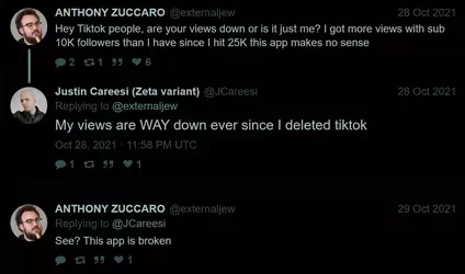 brave_screenshot_nitter.poast.org - 2025-07-10T175834.248.webp