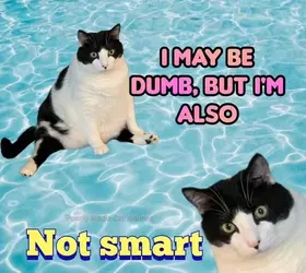484885265_998258372483529_2613192970309542772_n.webp