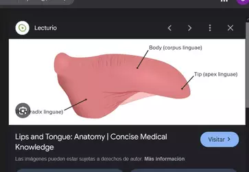 1752201829529.webp