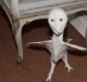 Tumblr_l_2836467957479253.webp