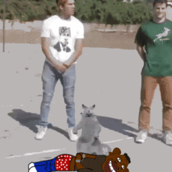 1751071529027728.gif