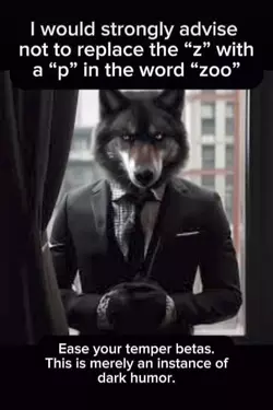 1925f09a9e79c7b4.webp