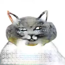 1752252996904.webp