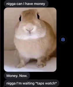 1751993421264098.webp
