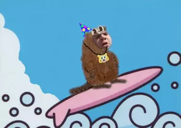 beavy on pikachu board.webp