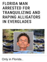 NatureWarrior.png